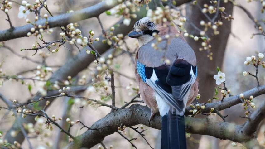 Какой церковный праздник 30 апреля: особая примета дня на удачу