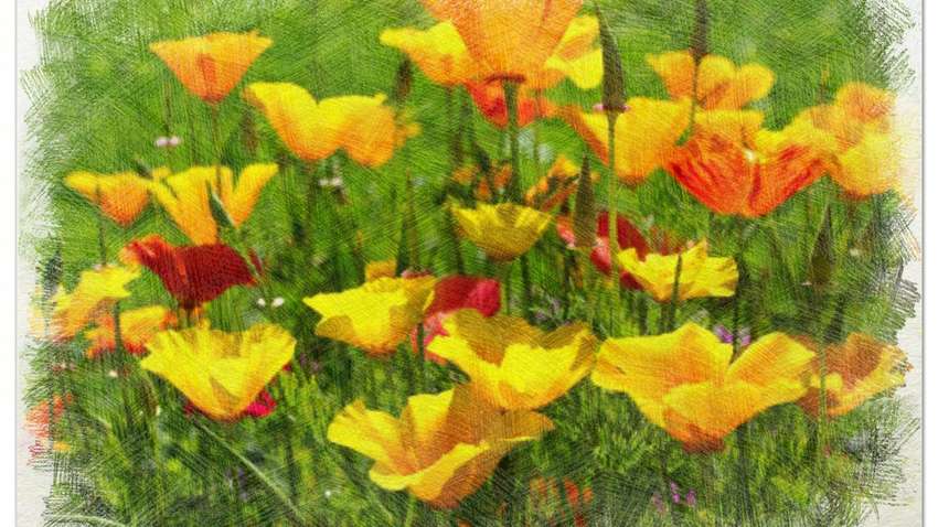 Какой будет погода в июле: прогноз Укргидрометцентра