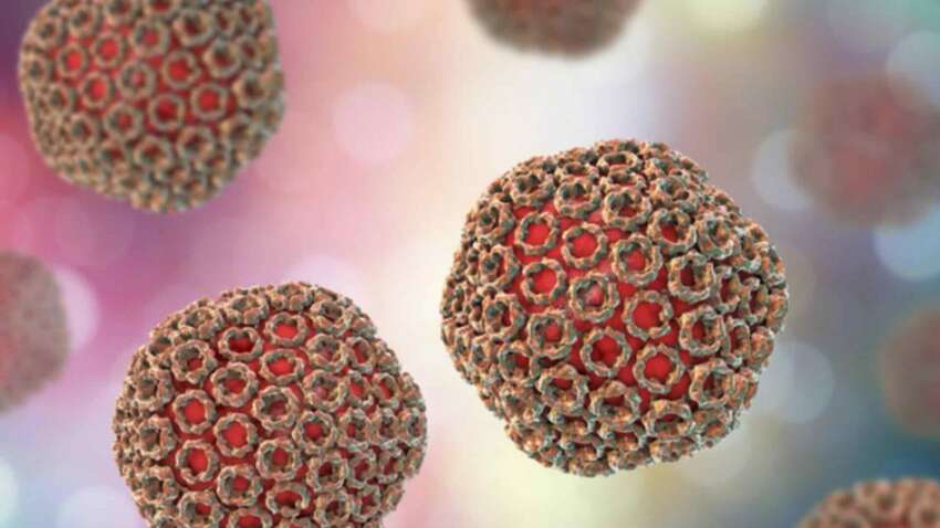 Небезпечна інфекція в Сумах: фахівці встановлюють шляхи зараження Небезпечна інфекція в Сумах: фахівці встановлюють шляхи зараження