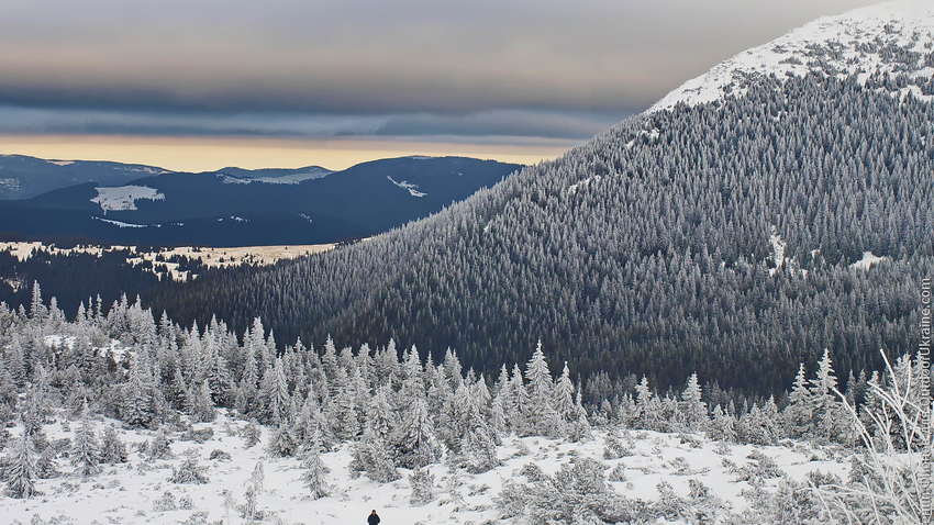 Как закарпатцы несут тюки с сигаретами в Румынию через Карпаты: журналист показал видео Как закарпатцы несут тюки с сигаретами в Румынию через Карпаты: журналист показал видео