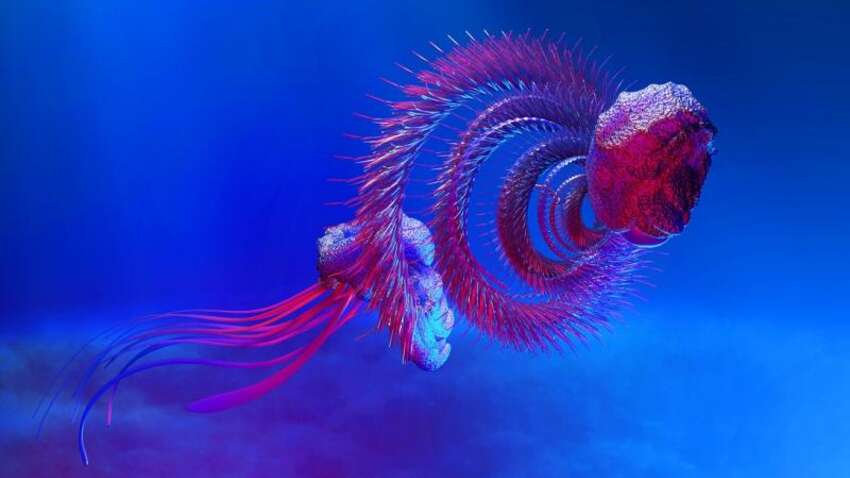 Привид із глибин: вчені були шоковані, занурившись на 6 км під воду Привид із глибин: вчені були шоковані, занурившись на 6 км під воду