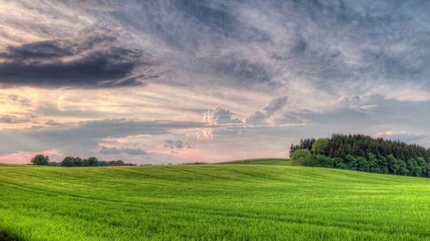 Цены шокировали даже экспертов: земля в Украине резко подорожала во время войны