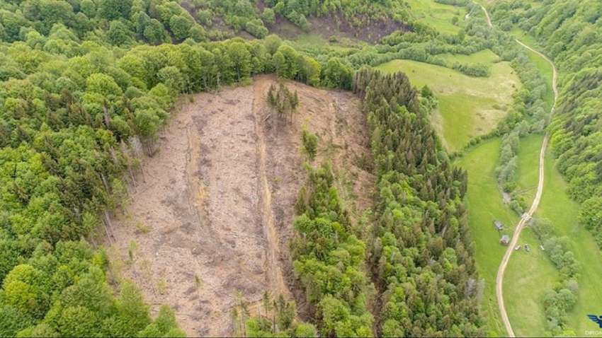 ФОТОФАКТ: в Сети показали «залысины» Карпат с высоты птичьего полета