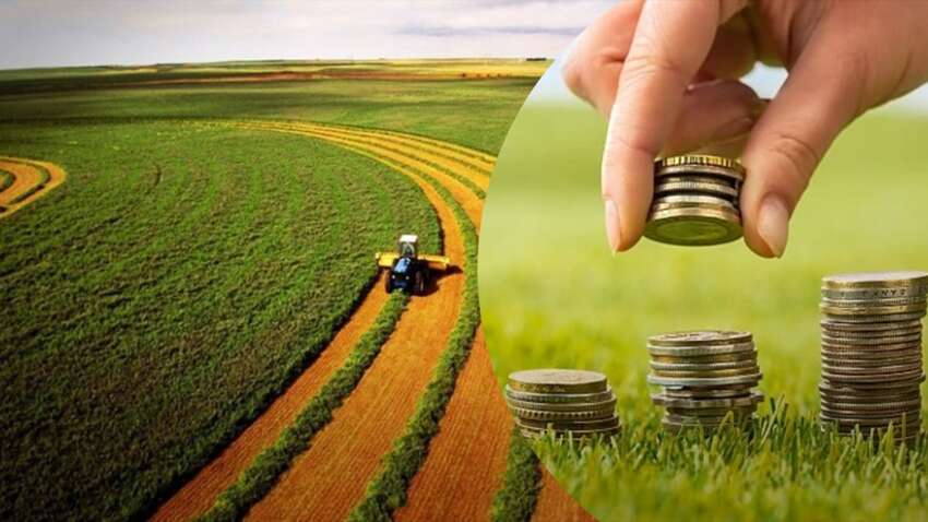 Державна земля на продаж: аграрії отримають унікальний шанс взяти участь у масштабних торгах