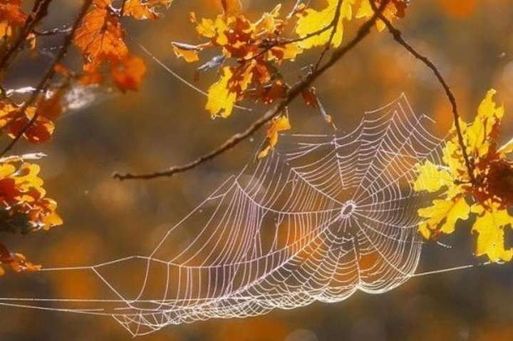 Синоптики рассказали прогноз погоды на выходные