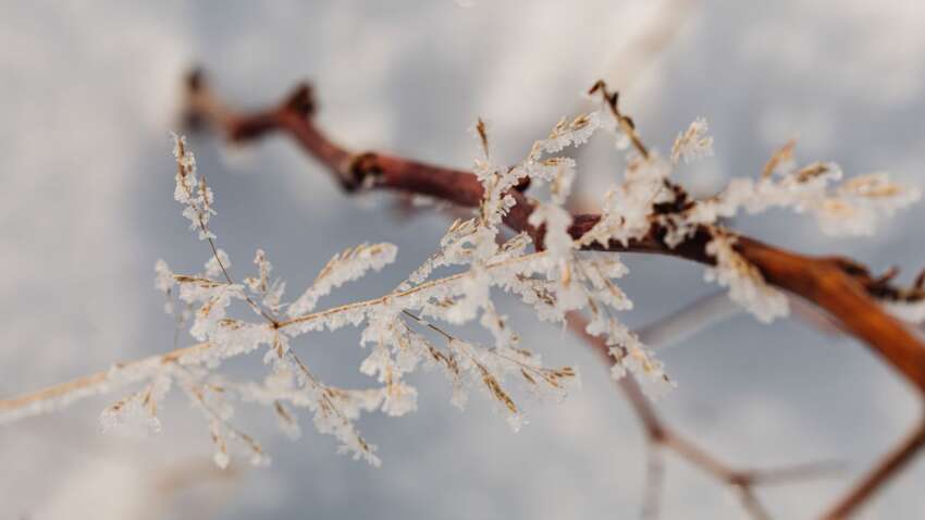 Яке церковне свято 5 грудня: прикмета дня, щоб прогнати біди та залучити гроші