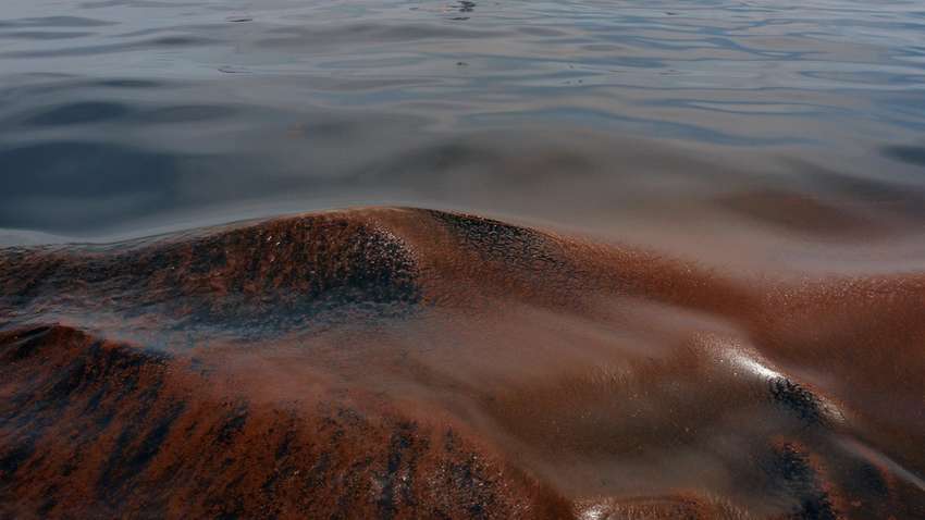 Последствия катастрофы российских танкеров: нефть в Черном море может добраться до украинских портов, — ВМС Последствия катастрофы российских танкеров: нефть в Черном море может добраться до украинских портов, — ВМС