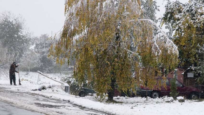 Мороз, сніг, ожеледь: прогноз погоди в Україні на середу, 18 листопада