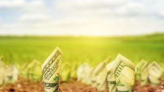 "Українців обманом намагаються позбавити землі" - Тимошенко