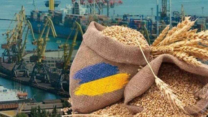 В Польше жалуются из-за отсутствия украинского зерна: детали В Польше жалуются из-за отсутствия украинского зерна: детали