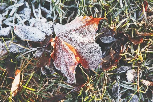 По-зимовому морозно, по-осінньому хмарно, місцями опади: прогноз погоди в Україні на п'ятницю, 20 листопада По-зимовому морозно, по-осінньому хмарно, місцями опади: прогноз погоди в Україні на п'ятницю, 20 листопада