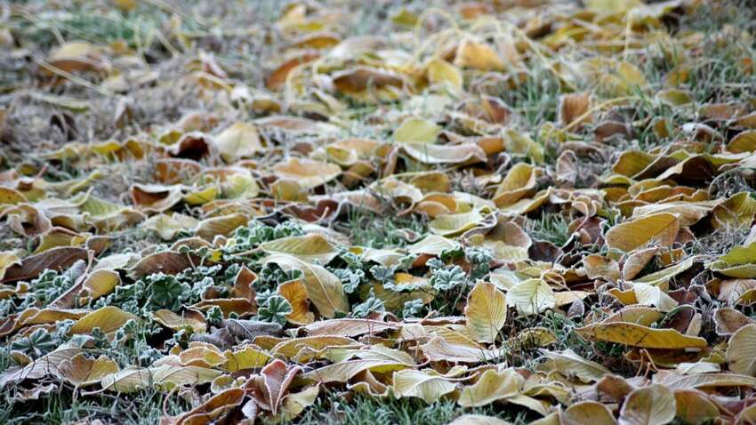 Украинцев предупредили о резком похолодании: какой будет погода в ближайшие дни Украинцев предупредили о резком похолодании: какой будет погода в ближайшие дни