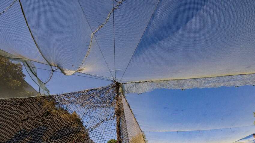 Негода вдарила по Херсону – вітер зніс антидронові сітки та паралізував рух у місті