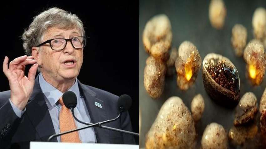 Билл Гейтс нашел способ побороть голод, помогут "волшебные семена" Билл Гейтс нашел способ побороть голод, помогут "волшебные семена"