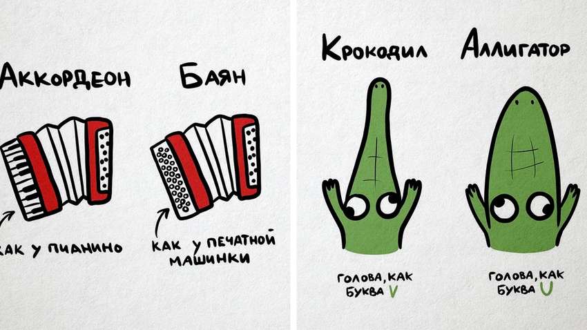 Картинки, которые помогут запомнить, в чем разница между понятиями, которые все постоянно путают Картинки, которые помогут запомнить, в чем разница между понятиями, которые все постоянно путают