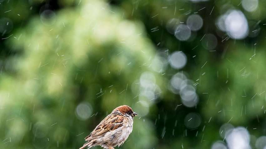 В Україну йде похолодання: де затримається літнє тепло