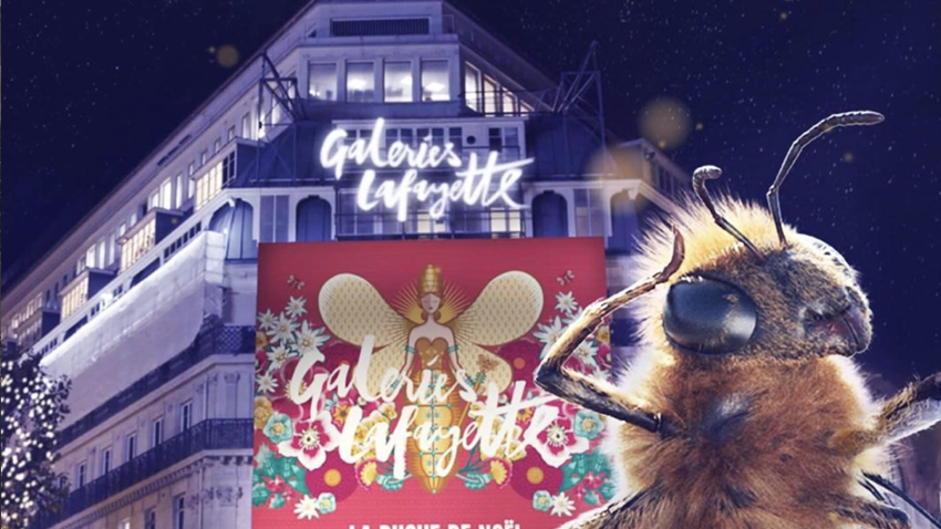 Пчела-инфлюенсер украсила рождественские витрины