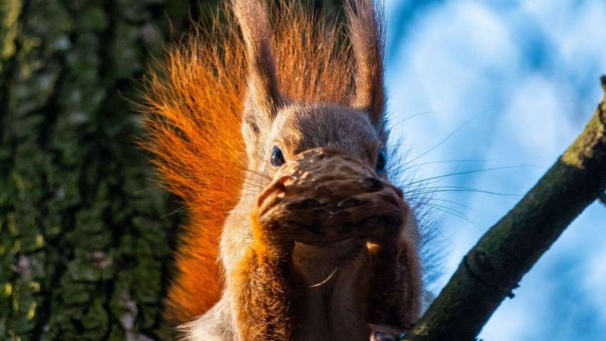 Африканское тепло средь декабря: синоптик предупредил об аномальном изменении температуры