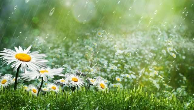 В Україні пройдуть дощі з грозами, оприлюднено прогноз погоди на вівторок