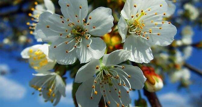 1 мая: главные запреты и приметы дня