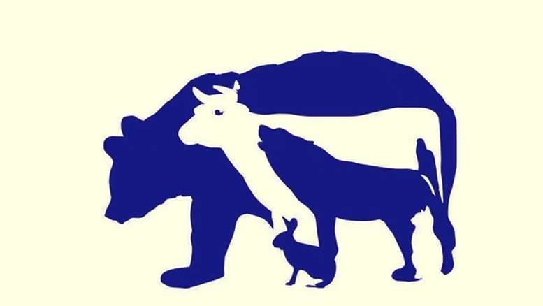 Сколько животных спрятано на рисунке: только единицы могут найти всех Сколько животных спрятано на рисунке: только единицы могут найти всех