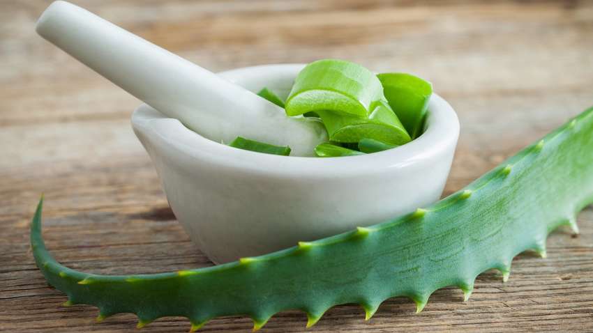 ТОП-7 лучших преимуществ алоэ вера для здоровья