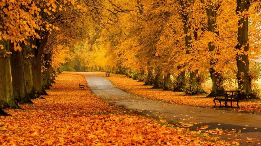 В Україну йде похолодання і дощі 