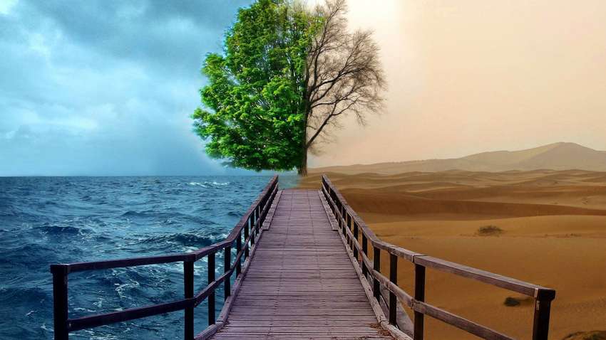 У зміні клімату більше винні багаті, ніж бідні — дослідження