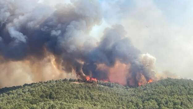 Франция горит: самый масштабный пожар за 75 лет уничтожает юг страны Франция горит: самый масштабный пожар за 75 лет уничтожает юг страны