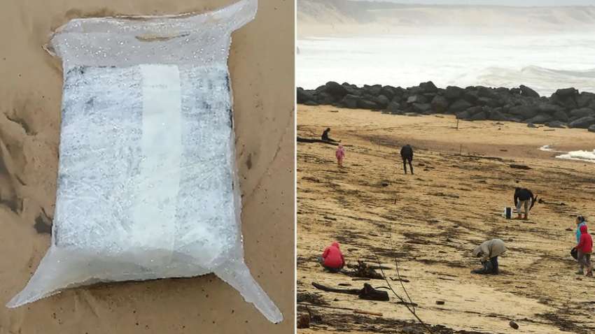 Море выбросило на французский пляж кокаин: уже собрали более двух тонн