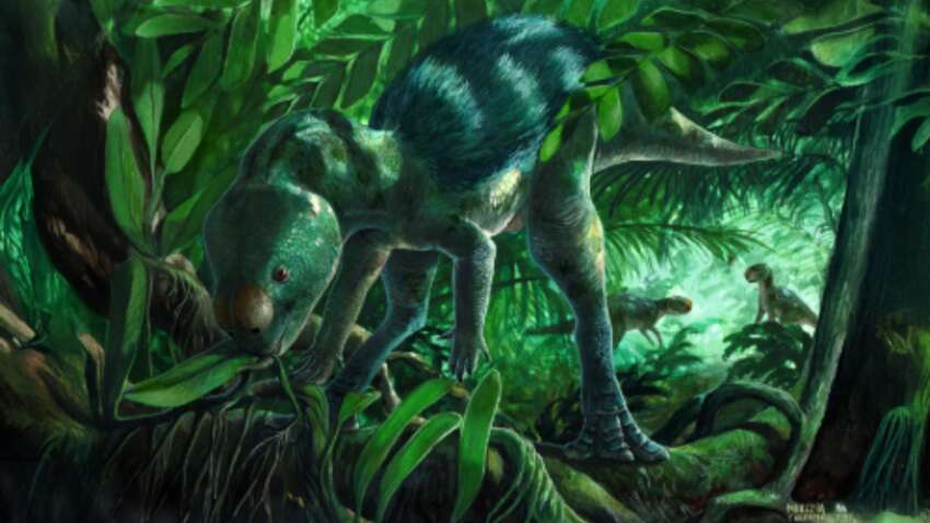 Крошечный динозавр перевернул эволюцию: ученые нашли вид, заполнивший 70 миллионов лет "пустоты" Крошечный динозавр перевернул эволюцию: ученые нашли вид, заполнивший 70 миллионов лет "пустоты"