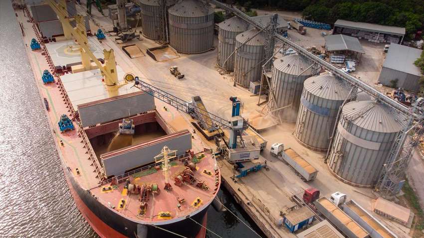 "Черный" экспорт агропродукции: БЭБ обеспечило возврат 1,3 млрд грн 