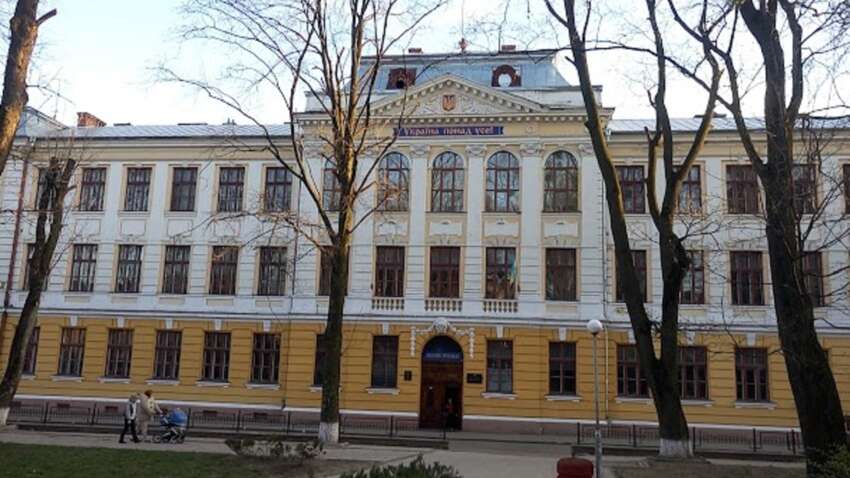 В Черновцах наказали учительницу, которая вела урок на русском и назвала ученика "скотиной"