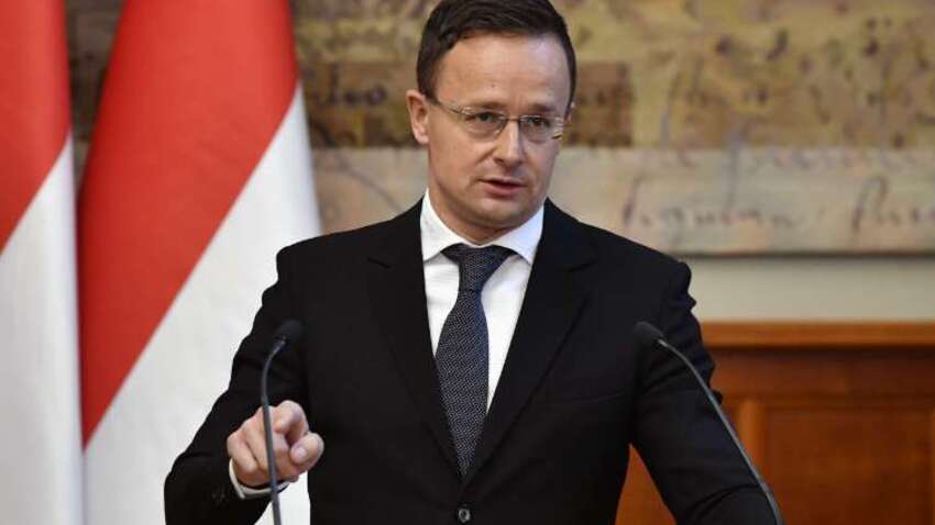 В Венгрии заявили о "большой лжи" в защите Украины