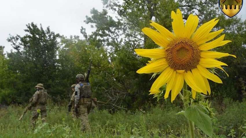 Война в Украине: итоги уходящей недели – какой прогноз и ожидания на фронте