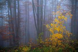 В Украину идет антициклон Tora: что будет с погодой