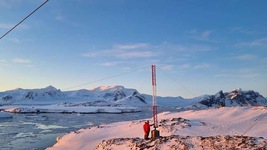 Українські полярники зафільмували птахів з екзотичною зовнішністю (ВІДЕО)