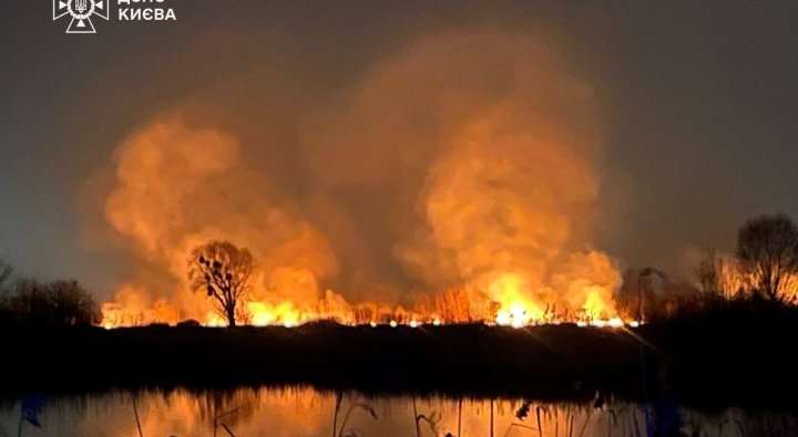 Пожежа на Cтоличних Осокорках: причетні можуть бути "екоактивісти"