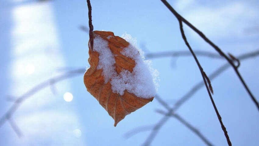 Церковный праздник 12 декабря: главные приметы и запреты дня Церковный праздник 12 декабря: главные приметы и запреты дня