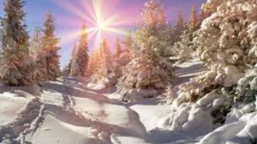 Украинцев не на шутку шокировали заявлением об ожидаемом потеплении: что известно 