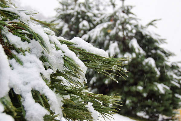 Аномальний снігопад заблокував рух транспорту в Туреччині