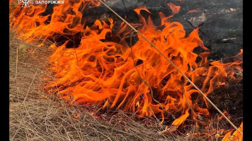 Хортиця горить: що відбувається у Запоріжжі зараз Хортиця горить: що відбувається у Запоріжжі зараз