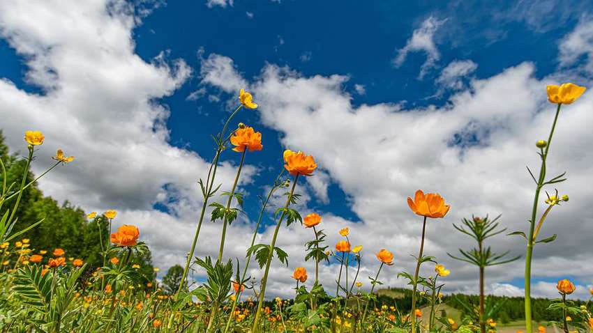 Дощовий фронт посунеться: якою буде погода у вихідні Дощовий фронт посунеться: якою буде погода у вихідні