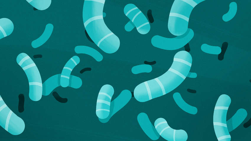 У США розроблено додаток для пошуку антибіотиків