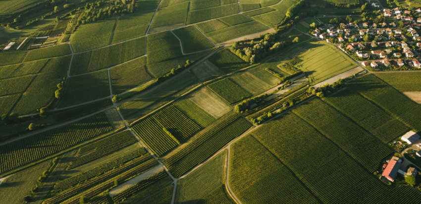 Кто сможет купить украинскую землю: пять ключевых моментов законопроекта о рынке земли