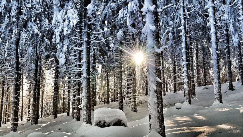 В Украину идет солнечная и теплая погода: синоптики обновили прогноз В Украину идет солнечная и теплая погода: синоптики обновили прогноз