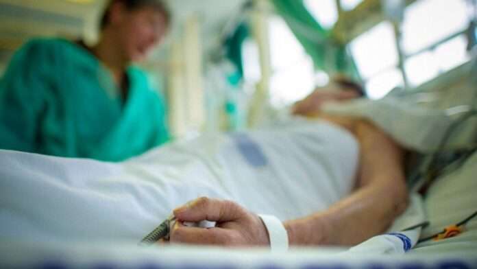 Укус невідомих комах ледь не вбив двох українців