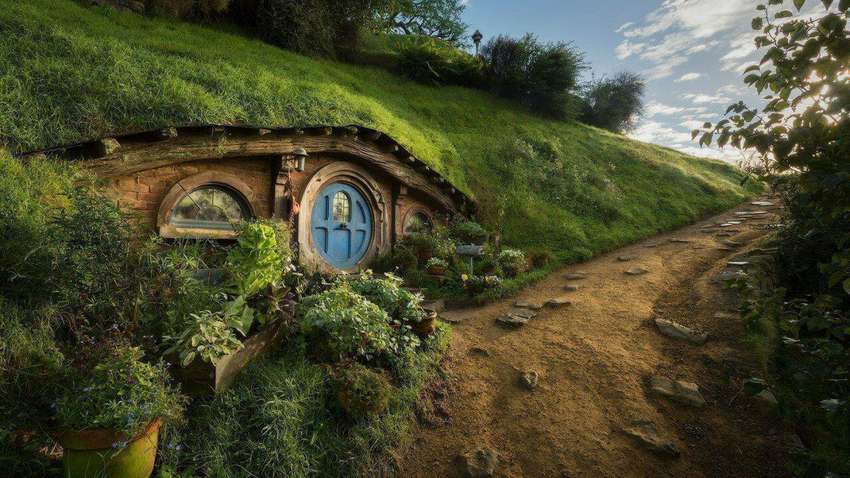 В Новой Зеландии возобновили съемки новых частей «Аватара» и сериала по «Властелину колец»