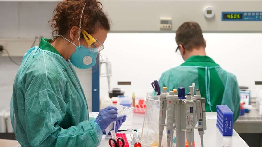 Более 1,4 млн заболевших, 81,5 тыс. смертей и более 300 тыс. выздоровевших: статистика коронавируса Covid-19