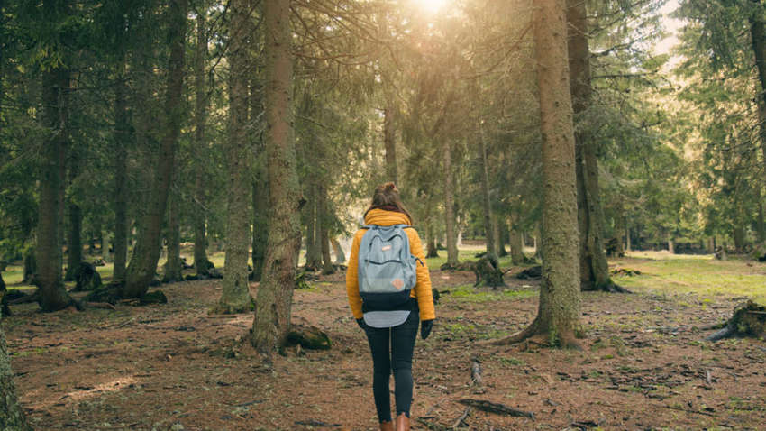 Ученые выяснили, что прогулки на свежем воздухе полезны не для всех Ученые выяснили, что прогулки на свежем воздухе полезны не для всех